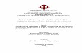 UNIVERSIDAD CATÓLICA DE SANTIAGO DE GUAYAQUILrepositorio.ucsg.edu.ec/bitstream/3317/5386/1/T-UCSG-PRE-ECO-GES... · INGENIERO EN GESTION EMPRESARIAL INTERNACIONAL TEMA: Estudio de