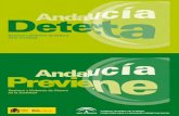 Proyecto Detecta Andalucía - copao.cop.escopao.cop.es/files/contenidos/areas/genero/INFORME_PREVIENE_28DIC.pdf · resultados del Estudio de Investigación así como líneas de trabajo