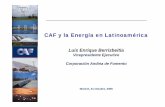 CAF y la Energía en Latinoamérica - lateinamerikaverein.de · Inversiones de capital ... Distribución de la Cartera Cartera Total por País (2007) US$ 9.615 millones Argentina