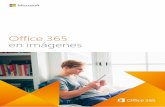 Office 365 en imágenes - ITSitio.comfileserver.itsitio.com/.../Microsoft/Surestep/MS_Brochure_O365.pdf · Office 365 es uno de los negocios de Microsoft con mayor crecimiento de