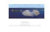 Proliferaciones de organismos marinos en Canarias - LPAmar · RECOGIDA DE DATOS Y MUESTRAS: METODOLOGIA ... el turismo y la pesca. De igual manera, ... concienciar a la población