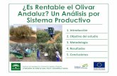 ¿Es Rentable el Olivar Andaluz? Un Análisis por Sistema ... · sistema productivo Esta investigación ha sido financiada por el Programa Operativo FEDER y FSE de Andalucía 2007-2013