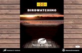 BIRDWATCHING - Blog de viajes por Europa y más · el 70-75% del total de la población de la Península Ibérica, nidifican anualmente en el Delta. Se pueden ver en las salinas,