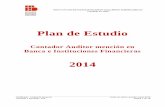 Plan de Estudio - CURSO CAJERO BANCARIOvirtueb.ieb.cl/admision-2014/mallas/PlanEstudioContadorAuditor.pdf · riesgo y gestión integral 2.1. Conocimiento de modelos y herramientas