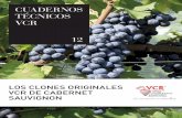 CUADERNOS TÉCNICOS VCR 12 - vivairauscedo.com · Publicación a cargo de ... de los vinos 20 Síntesis de los resultados 21 Una empresa ... y la capacidad de sinteti-zar las pirazinas,