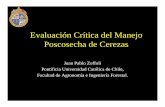 Evaluación Crítica del Manejo Poscosecha de Cerezas y Durofel.pdf · equilibrio que se alcance producto de la permeabilidad del envase y la tasa de producción de CO2 y consumo