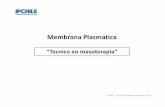 Membrana Plasmatica - bioeduciencias.files.wordpress.com · COMPOSICIÓN QUÍMICA DE LA MEMBRANA PLASMÁTICA ... (g lucosa, sacarosa, nucleótidos, aminoácidos, ... del Na+ son receptivos