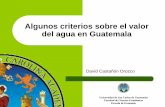 Algunos criterios sobre el valor del agua en Guatemala · Al considerar la demanda de todos los usos consuntivos y no consuntivos se tiene que la ... se inhabilitan otros usos del