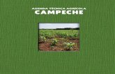 AGENDA TÉCNICA AGRÍCOLA CAMPECHE - … · A la llegada de los españoles a la península yucateca, el actual estado de Campeche estaba dividido en una serie de pequeños cacicazgos