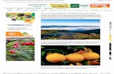 FreshPlaza: Noticias del sector de frutas y verduras · exportación de palta Hass Anuncios ... España: El precio del kaki se mantiene alto más tiempo esta campaña España: Los