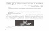 Biomecánica, 18(1), 2010, pp 42-46 Estudio de la ... · ósea del pie, como se definió en los trabajos reali-zados por Von Meyer [1, 2], Culmann (que aseme - jó la estructura del