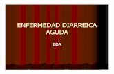 ENFERMEDAD DIARREICA AGUDA - colombianadesalud.org.co ENFERMEDAD... · PREVENIR DESNUTRICION: continuar lactancia materna, leche usual o dieta corriente. ... DNT, no DNT, no lact
