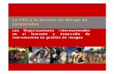 La FAO y la Gestión de Riesgo de Catástrofesaplicaciones.magrama.es/documentos_pwe/confe10/presentacion_fao2... · de conocer la vulnerabilidad y la promoción de la resistencia