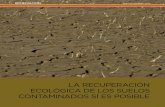 LA RECUPERACIÓN ECOLÓGICA DE LOS SUELOS …argentinambiental.com/.../pdf/AA70-40-Recuperacion_Ecologica_De_Los... · la región del Sur del estado Anzoátegui. ... riales y Nanotecnología