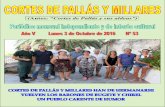 Antes: “Cortes de Pallás y sus aldeas”)ayuntamientomillares.es/images/docs/boletin/N53-OCTUBRE2016.pdf · Sólo Iberdrola, Hidroeléctrica ... “Reunión de los amigos del Salto