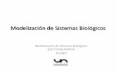 Modelización de Sistemas Biológicos - FIUNERmodelizacion-fiuner.wdfiles.com/local--files/teorias/IntroMod2015c... · Limitación de la modelización Los experimentos controlados