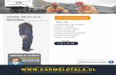 S-M-L- XL- XXL CARMELO TALA OVEROL MEZCLILLA FICHA … · ventas directas 56+2 2776 9735 56+2 2779 1766 síguenos en facebook calidad i ate-ncion personalizada i rapidez estacionamiento
