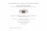 UNIVERSIDAD COMPLUTENSE DE MADRID - infoling.orginfoling.org/repository/PhDdiss-Infoling-21-8-2013.pdf · del derecho en Facticidad y validez (1992).....p. 256 3. La “complementariedad”