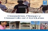 Desastres, Riesgo y Desarrollo en Honduras - copeco.gob.hn · Los principales sectores de desarrollo económico del país son altamente vulnerables ante los desastres. ... donde más