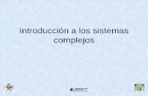 Introducción a los sistemas complejos - academia.utp.ac.pa · necesariamente función de la complejidad combinatoria . Como actuamos •Generalmente enfocamos los procesos de decisión