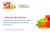 Cáncer de Mama - worldcoo.com · mecanismos de reparación del DNA, desgraciadamente la resistencia a estas terapias supone un problema clínico importante. Clasificación del cáncer