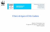 El Banco de Aguas en El Alto Guadiana - fundacionbotin.org · El Banco de Aguas en El Alto Guadiana • Bancos de agua: Oportunidad para mejorar el estado de zonas sobreexplotadas,