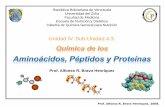 Unidad IV. Sub-Unidad 4.3. - memberfiles.freewebs.com · Estudiar la formación del enlace peptídico y la estructura y funciones de algunos péptidos de importancia biológica. Describir