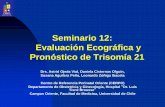 Seminario 12: Evaluación Ecográfica y Pronóstico de Trisomía 21 - CERPO · clara disminución en los países con ley de aborto para estos casos, como en España (0,6 por 1000