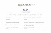 PRÁCTICA PROFESIONAL SUPERVISADA - bdigital.uncu.edu.arbdigital.uncu.edu.ar/objetos_digitales/9985/arias-van-lierde-pps.pdf · Informe de Práctica Profesional Supervisada – Bruno