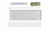 MECANIZACIÓN DE LA COSECHA - Facultad de Agronomíaforestal/cursos/tecmadera/Gustavo/Corta... · de caminos, distancia media de extracción, intensidad y distribución de las lluvias),