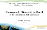 Convenio de Minamata en Brasil y la industria del cemento · Proceso de Negociación Convenio de Minamata sobre el Mercúrio . ... Herramienta esencial para la estimación de la cantidad