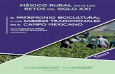 MÉXICO RURAL ANTE LOS RETOS DEL SIGLO XXI - amerac.orgamerac.org/wp-content/uploads/2017/10/AMER-Mexico-Rural-Tomo-V... · como tierra, agua y fuerza de trabajo con la acción fortalecida