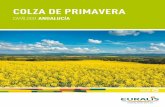 COLZA DE PRIMAVERA - euralis-semillas.comeuralis-semillas.com/wp-content/uploads/2018/08/ColzaPrimavera2019.pdf · seleccionar las variedades con alta tolerancia a la dehiscencia