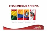 COMUNIDAD ANDINA - aebr.eu · entre los Países Miembros de la Comunidad Andina. ... y de conservación del medio ambiente, en las ZIF. d) ... Red de Telemedicina para la Cuenca del
