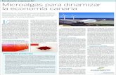 E PUBLICIDAD Microalgas para dinamizar la economía canariaalgalimento.com/wp-content/uploads/2015/04/EL-PAIS-Algalimento... · El cultivo de microalgas está cobrando un protagonis-mo