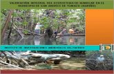 VALORACIÓN INTEGRAL DEL ECOSISTEMA DE MANGLAR EN EL ...siatpc.iiap.org.co/docs/avances/vinarino.pdf · importantes, ofrecen una variedad de hábitat a gran cantidad de especies de