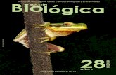 Revista de Divulgación de las Ciencias Biológicas y su ... · REVISTA BOLETÍN BIOLÓGICA Nº 28 AÑO 7 2013 pág. 2 Bio BOLETÍlNógica Revista de Divulgación de las Ciencias