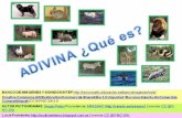 JUEGO CON LOS ANIMALES (ADAPTADO CON PICTOGRAMAS)aulasptmariareinaeskola.es/app/download/15798340/2Adivina+Qué... · JUEGO CON LOS ANIMALES (ADAPTADO CON PICTOGRAMAS) U.D. LOS ANIMALES: