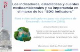 Los indicadores, estadísticas y cuentas medioambientales y su ... · Los indicadores, estadísticas y cuentas medioambientales y su importancia en el marco de los “SDG Indicators”