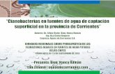 7 Aguas de Corrientes SA Corrientes 2013 - cofes.org.arcofes.org.ar/descargas/relas/2_jornada/7_Aguas_de_Corrientes_SA... · CONEXIONES AGUA 173.430 COBERTURA DE AGUA POTABLE ...