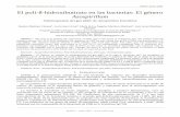 El poli-ß-hidroxibutirato en las bacterias: El género ... · Revista Iberoamericana de Ciencias ISSN 2334-2501 Vol. 2 No. 4 129 gen phbC, el cual está encargado de la formación