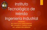 Instituto Tecnológico de Mérida Ingeniería Industrial. JOAQUÍN G. CANTILLO PALMA M.C. ALFREDO DÍAZ MENDOZA Mejora continua en la industria de la panificación PROYECTO INTEGRADOR: