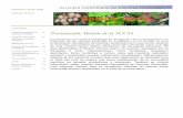 Diciembre 20 de 2008 Volumen 3 No 3 Boletín SCCH 3-3.pdf · seca en plantas de vivero de curuba (Passiflora mollissima Bailey). ... El 46,25% de la masa seca se acumuló en el tallo,