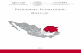 Presupuesto Federalizado Morelos - gob.mx · Instituto Nacional para el Federalismo y el Desarrollo Municipal Dirección General Adjunta de Fomento y Desarrollo del Federalismo INFRAESTRUCTURA