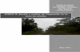 ANEXO III. Estudio y análisis de Vegetación en la … de Impacto Ambiental y Social Polo Científico, Tecnológico y de Innovación. Dpto. Formosa - Provincia Formosa ANEXO IIII.