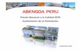 PNC 2010. Sustentaci n Final - Centro de Desarrollo Industrial · implementación de un modelo de excelencia en una empresa constructora peruana. Para fortalecer nuestra competitividad