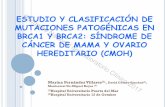 ESTUDIO Y CLASIFICACIÓN DE MUTACIONES … · estudio y clasificaciÓn de mutaciones patogÉnicas en brca1 y brca2: sÍndrome de cÁncer de mama y ovario hereditario (cmoh) marina