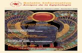 Boletín Informativo de Amigos de la Egiptología LXIII - Noviembre de …egiptologia.com/wp-content/uploads/2010/01/BIAE63.pdf · 2016-06-17 · Boletín Informativo Amigos de la