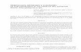 MORFOLOGÍA, BIOMETRÍA Y TAXONOMÍA DE …micropal.unizar.es/seccs/pubs/panel/pdf/Arenillas2007REP.pdf · medidas biométricas de la forma de las conchas y de las cáma- ... (univariantes)