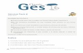 Service Pack 6 - AIG - Softwareupdates.aigsoftware.com/classicges6/ServicePack6CG6.pdf · A continuación, destacamos los elementos básicos que necesita para la instalación y uso
